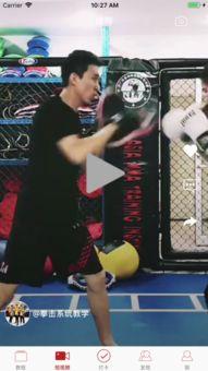 吃瓜娱乐拳击视频下载,揭秘吃瓜群众热捧的拳击视频下载热潮